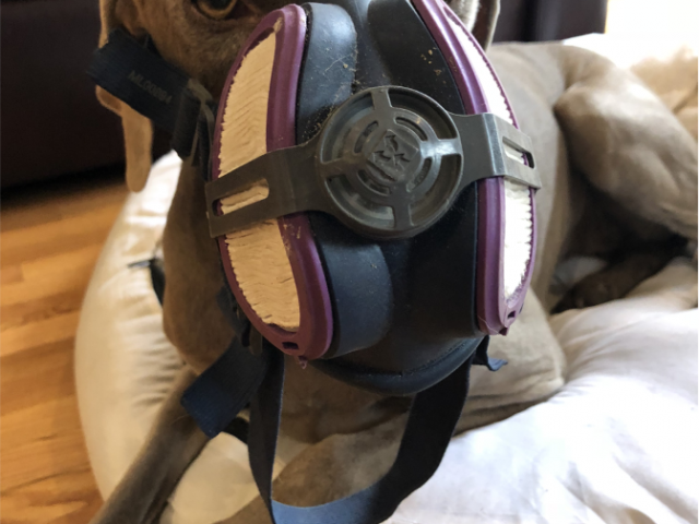 Dot Mask
